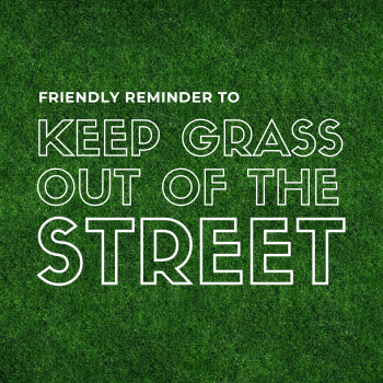 Keep Grass Out of the Street