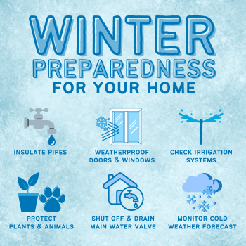 Winter Preparedness (350 x 350 px)